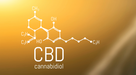 CBD: What Is It and How Does It Work?