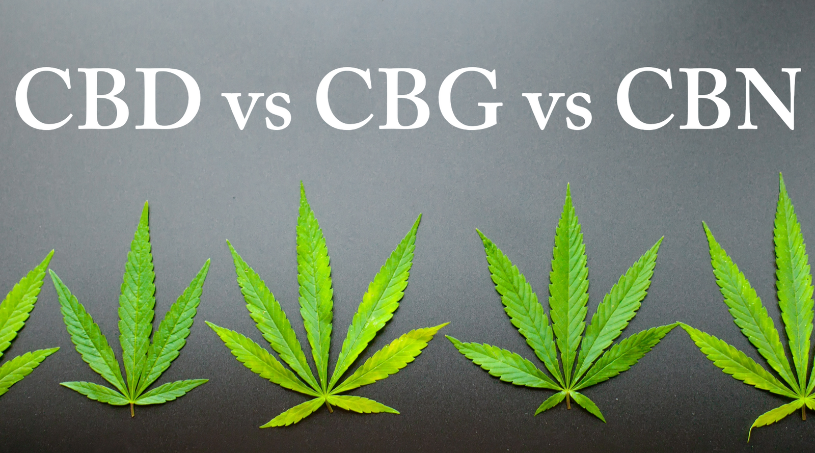 CBD vs CBG vs CBN: Whats The Difference?