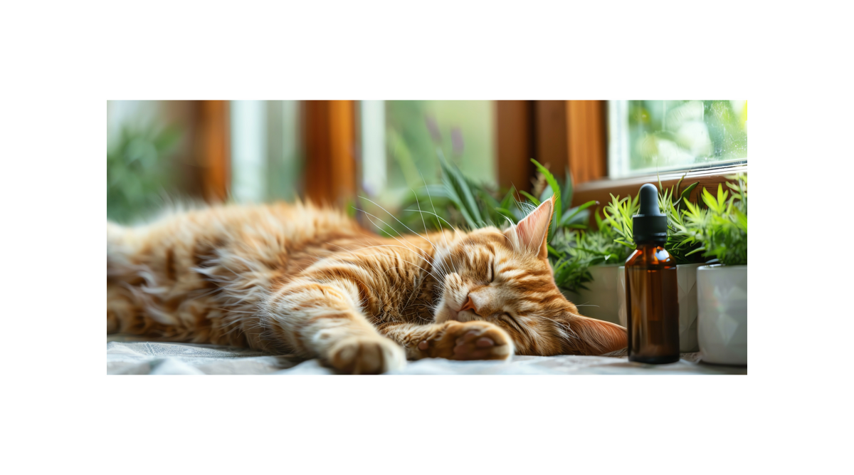 JoyPets CBD Calming Treats: Natural Anxiety Relief for Cats – RA Royal