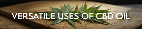 Exploring the Versatile Uses of CBD Oil