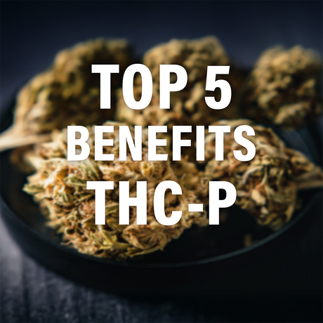 Top 5 Benefits of THCp: Why This Cannabinoid Stands Out