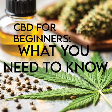 CBD for Beginners: What You Need to Know