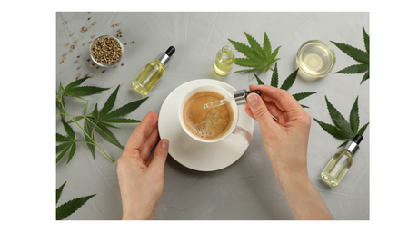 How to Use CBD Tinctures in Your Daily Routine
