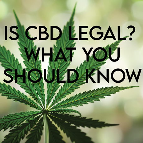 Is CBD Legal? What You Should Know