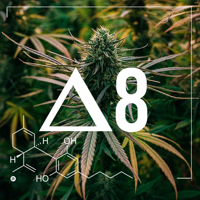 Delta 8 Vapes: Exploring the Benefits of this Emerging Cannabinoid