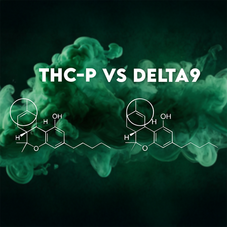 THCp vs. Delta-9 THC: Which One Is Stronger?