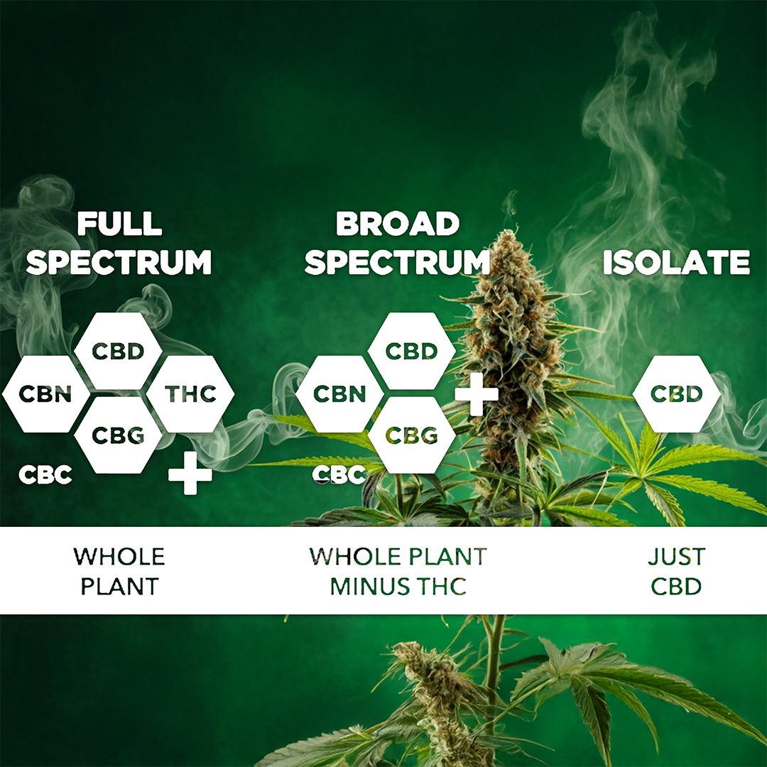 Full Spectrum vs. Broad Spectrum vs. Isolate: Explained