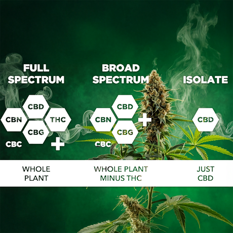 Full Spectrum vs. Broad Spectrum vs. Isolate: Explained