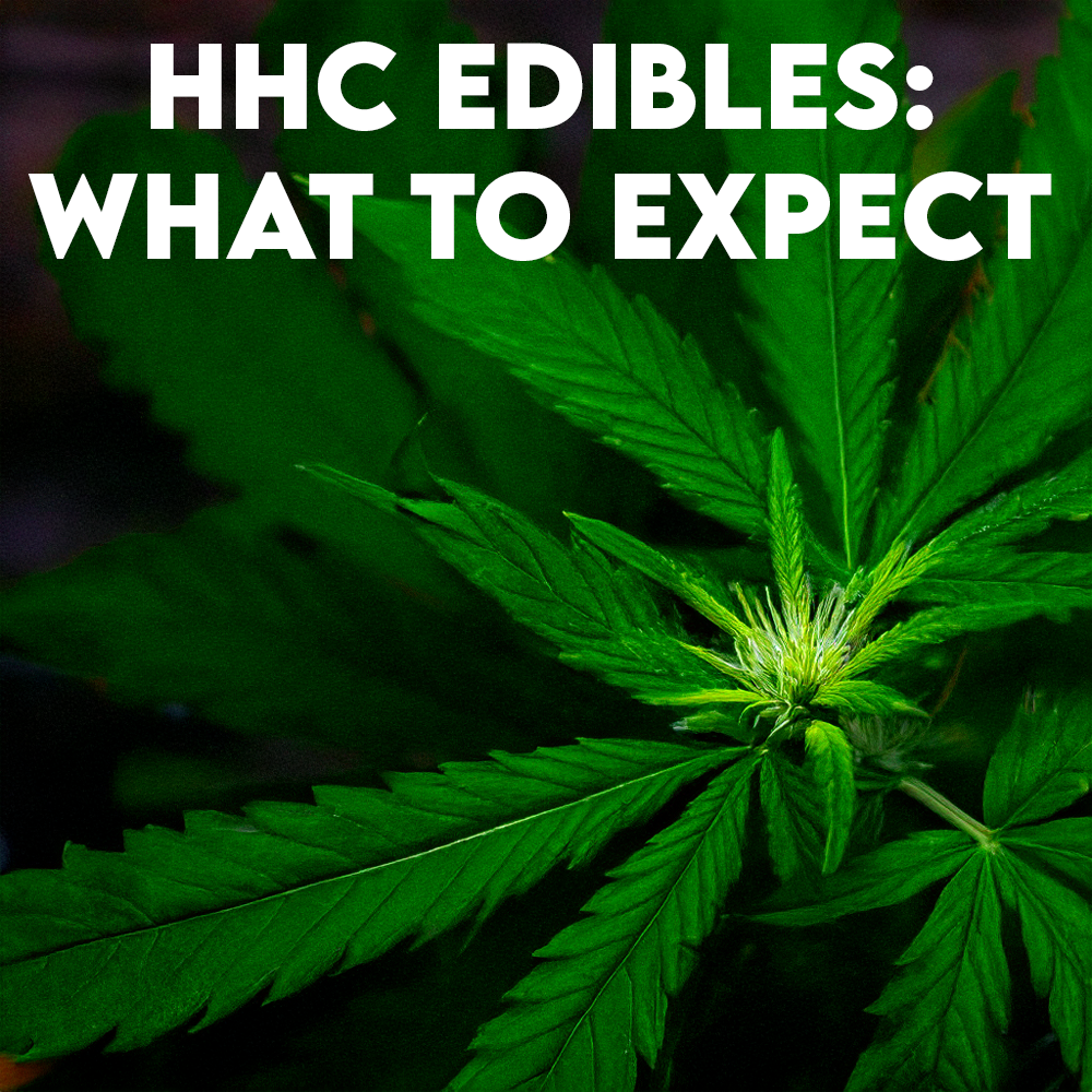 HHC Edibles: What to Expect