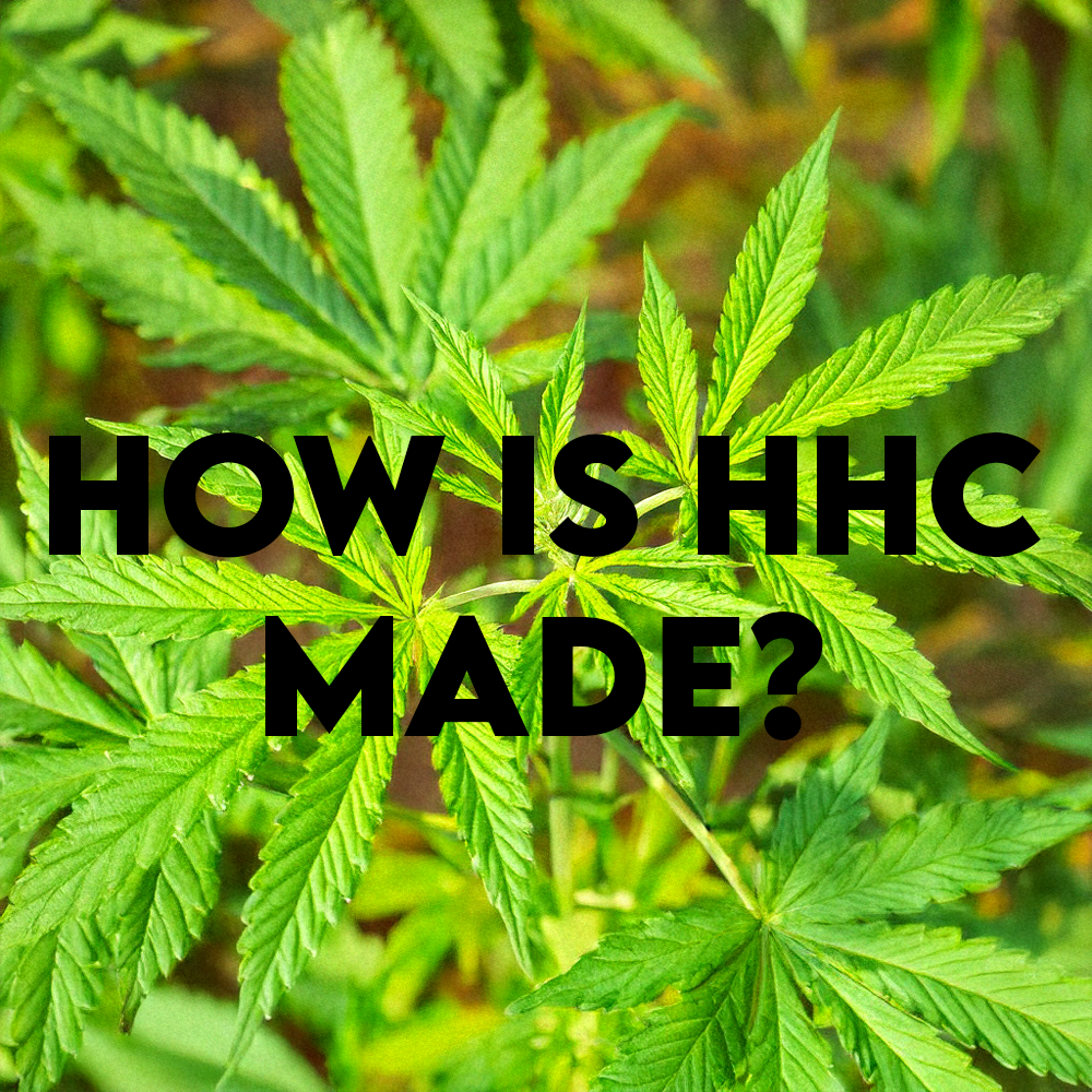 How Is HHC Made?