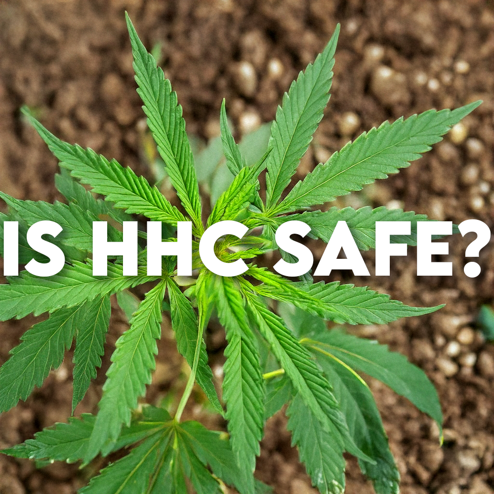 Is HHC Safe?