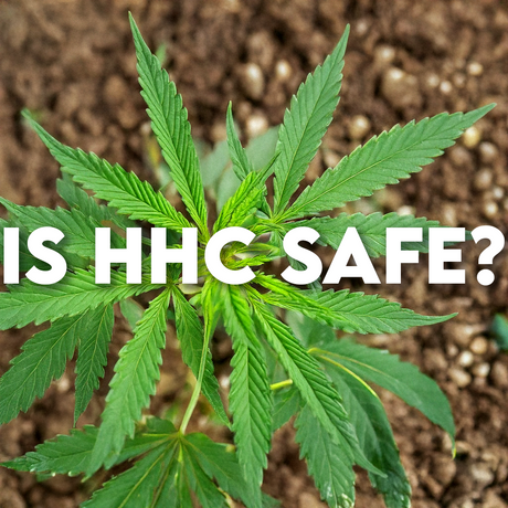 Is HHC Safe?