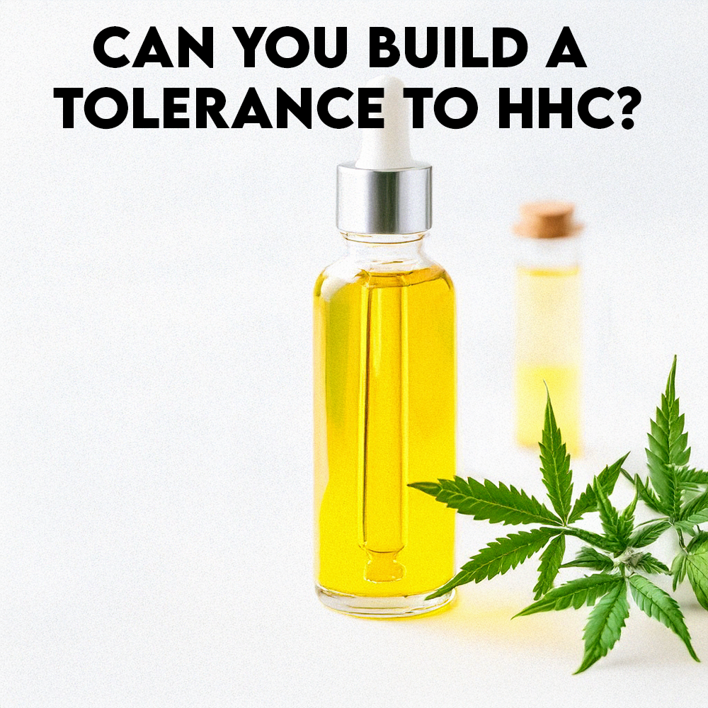 Can You Build a Tolerance to HHC?