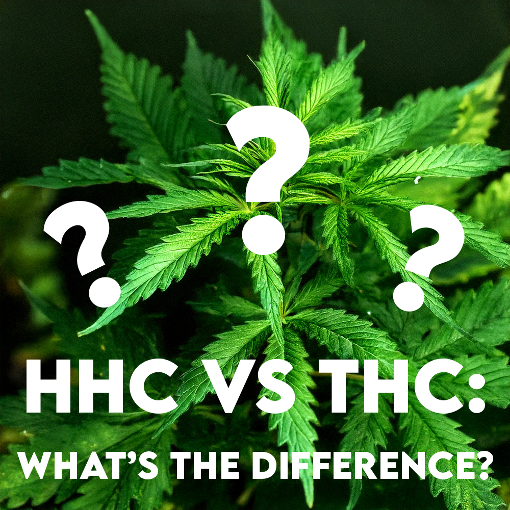 HHC vs THC: What’s the Difference?
