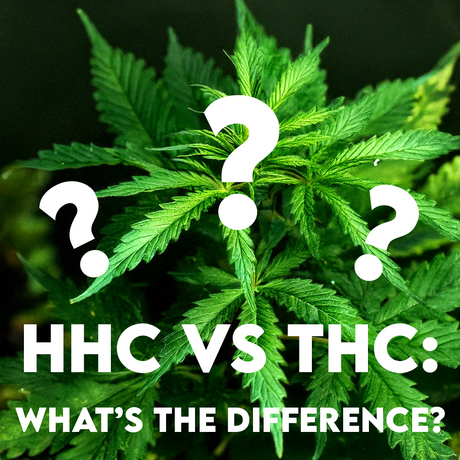 HHC vs THC: What’s the Difference?