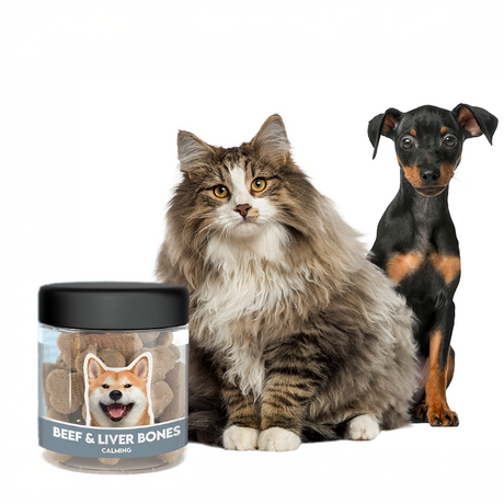 Is CBD Safe for Dogs and Cats? A Vet-Backed Look