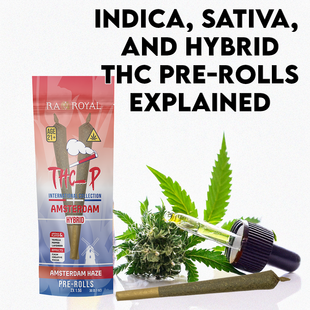 Indica, Sativa, and Hybrid THC Pre-Rolls Explained