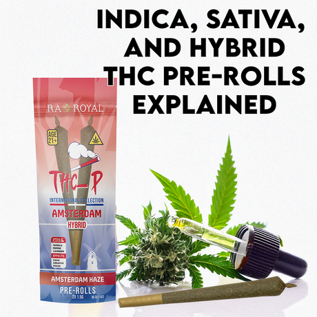 Indica, Sativa, and Hybrid THC Pre-Rolls Explained