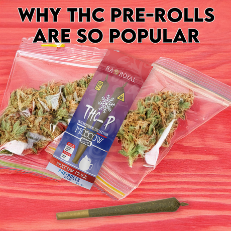 Why THC Pre-Rolls Are So Popular