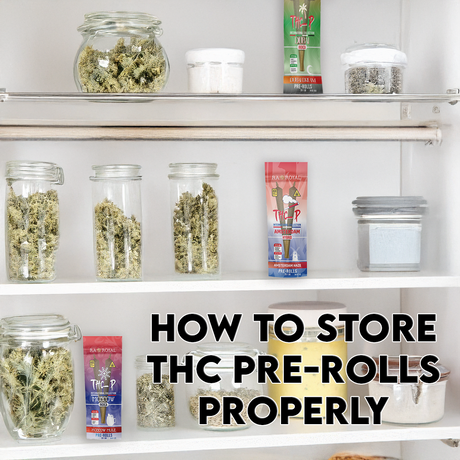 How to Store THC Pre-Rolls Properly