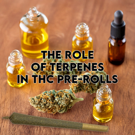 The Role of Terpenes in THC Pre-Rolls