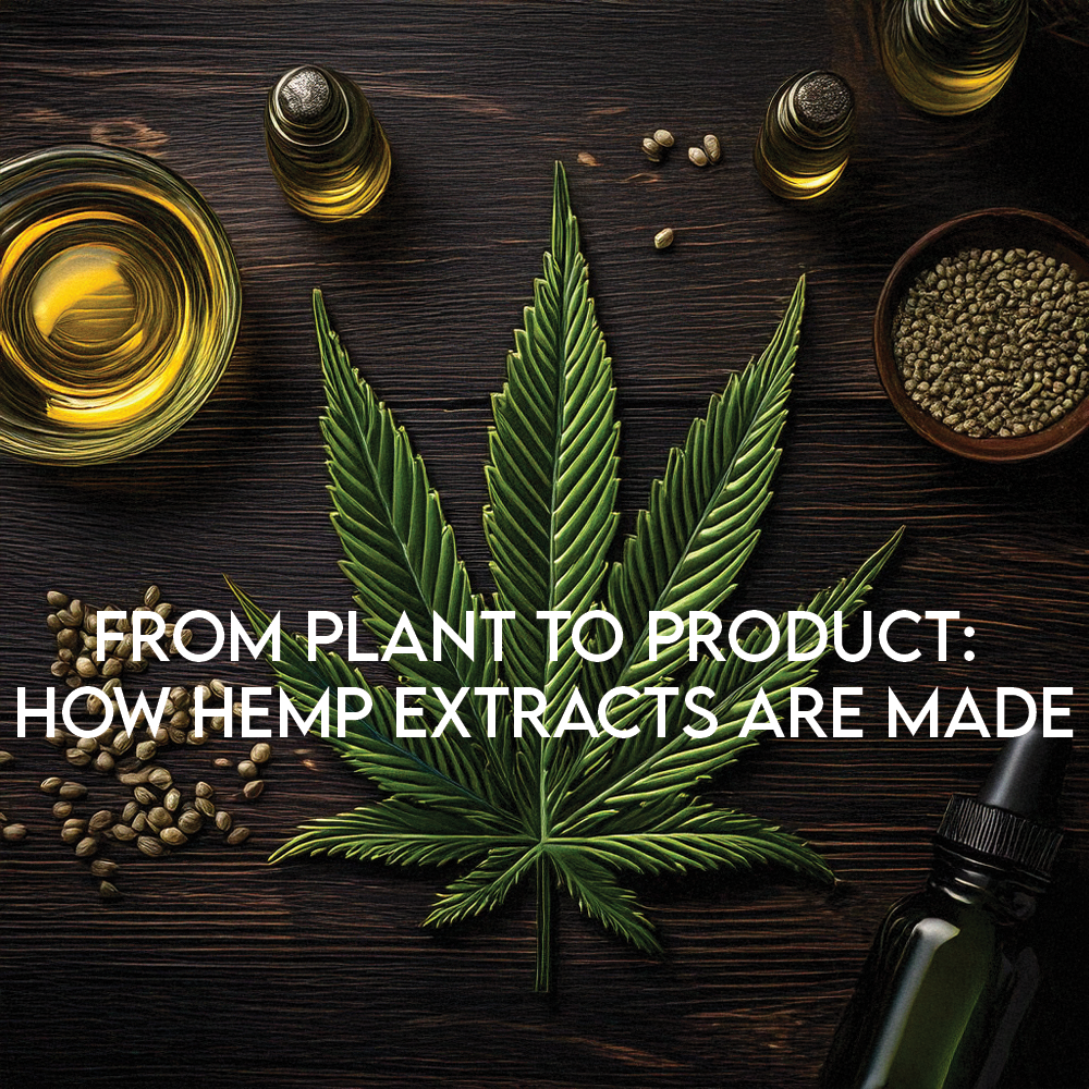 From Plant to Product: How Hemp Extracts Are Made