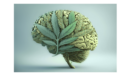 The Science Behind CBD: How Does It Work?