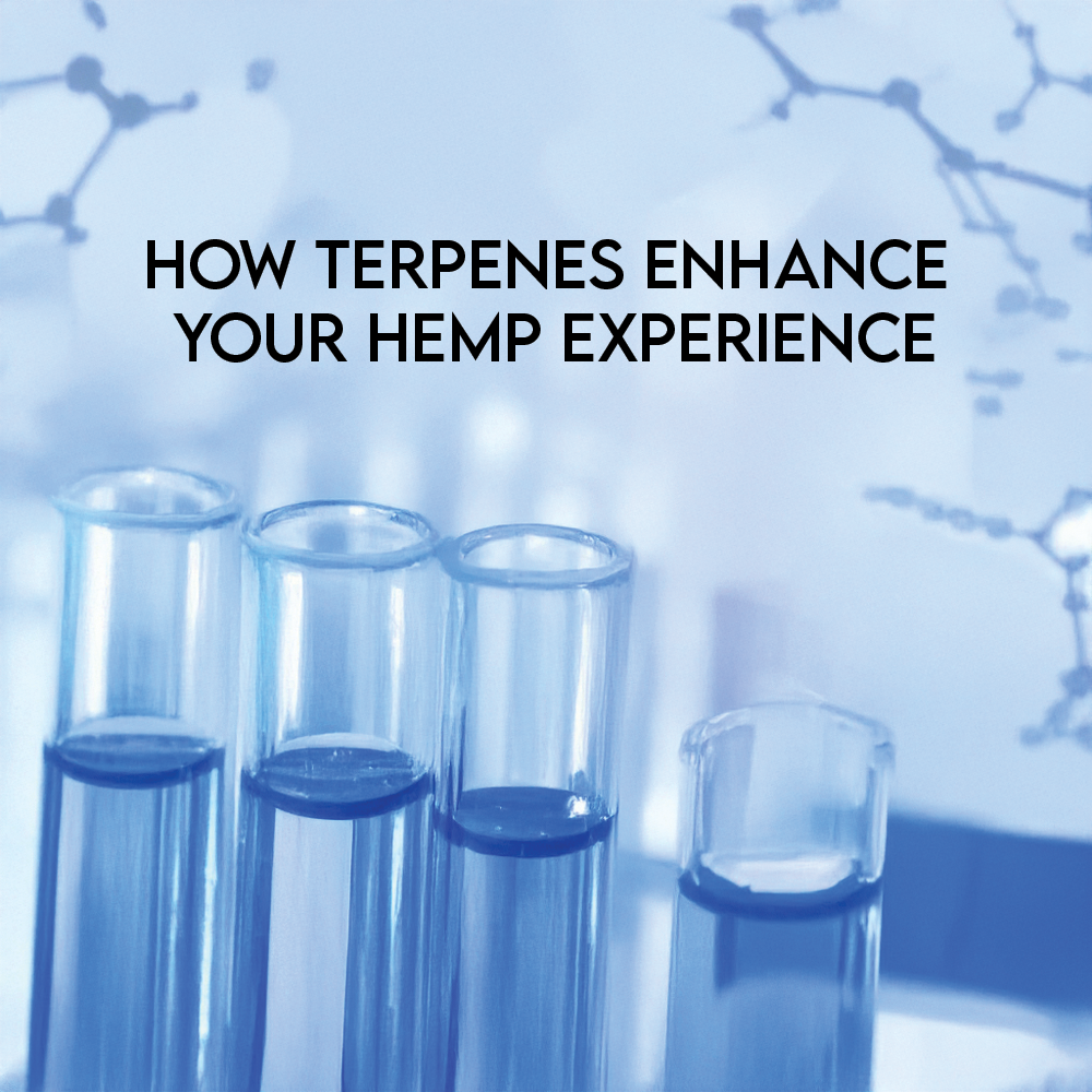 How Terpenes Enhance Your Hemp Experience