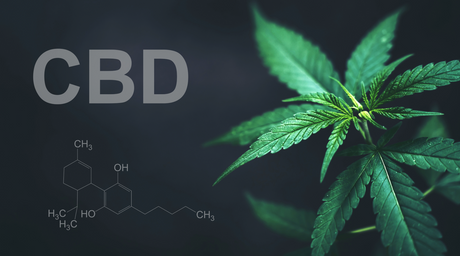 CBD Gummies: Risks and Precautions to Keep in Mind
