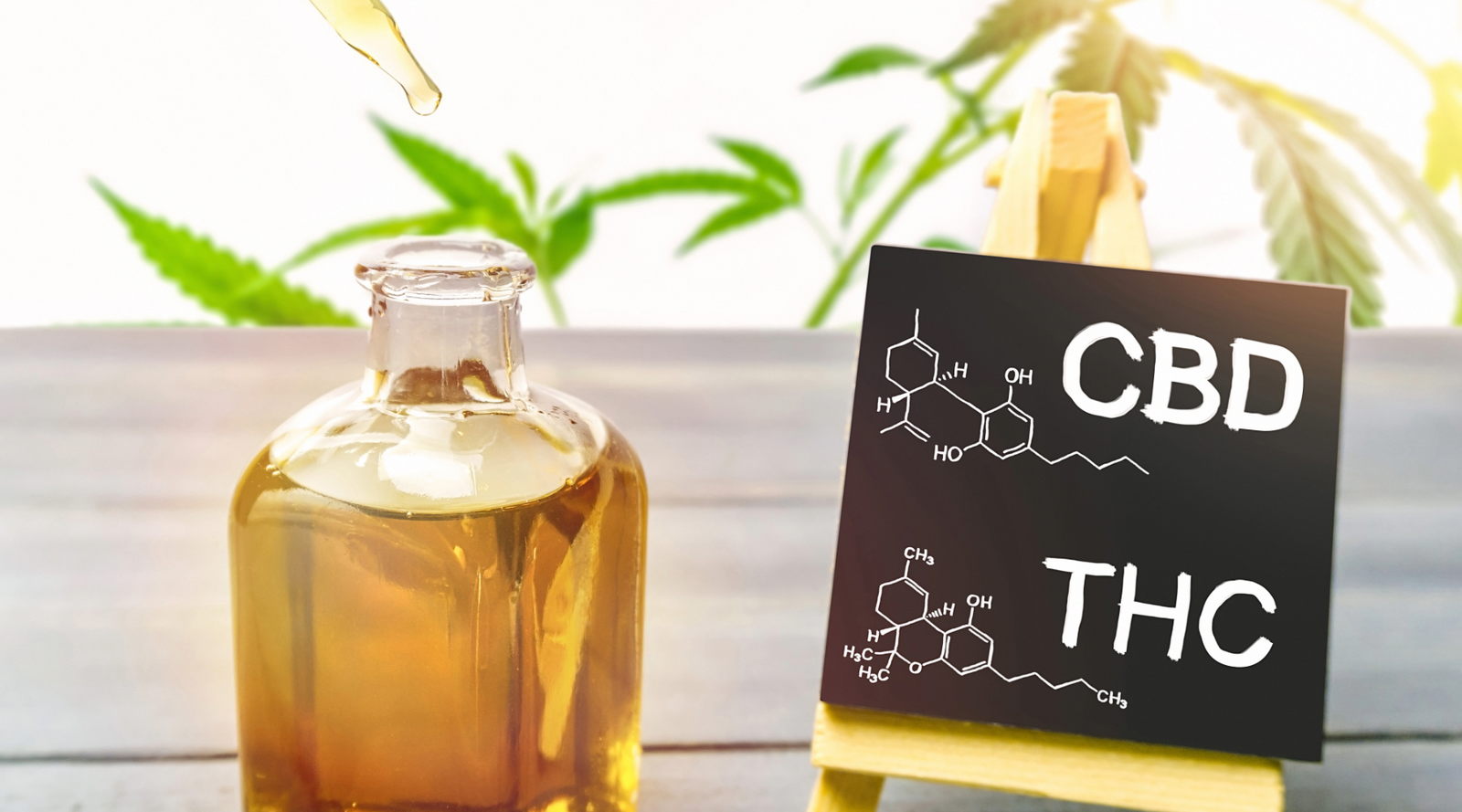 What Is Full Spectrum CBD?