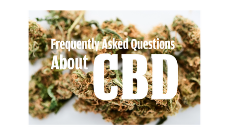 CBD FAQs: Everything You've Been Wondering About CBD