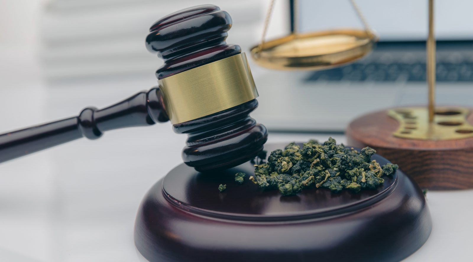 Demystifying CBD Legality in the United States: What You Need to Know