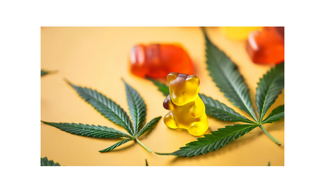 Spotlight: What Makes Our CBD Gummies a Customer Favorite?