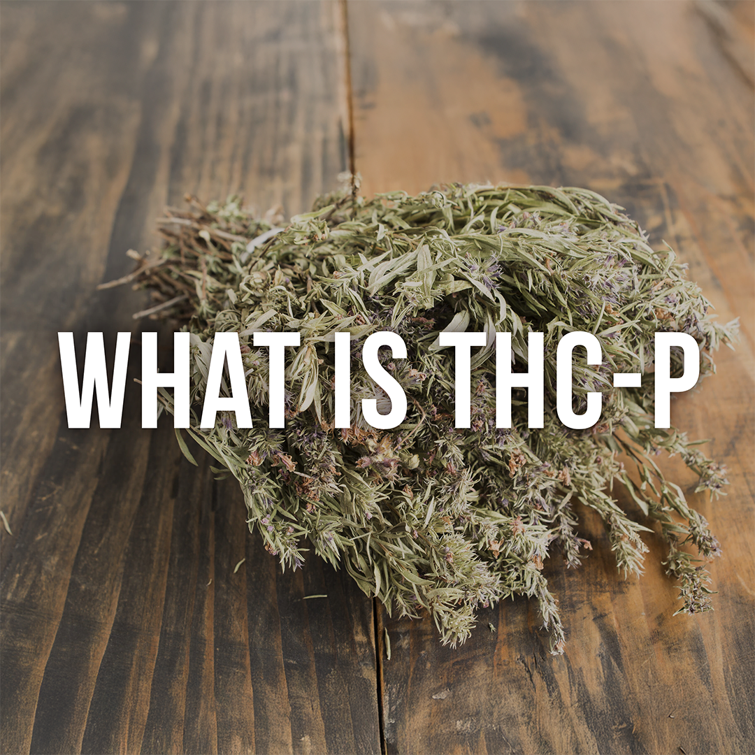 What Is THCp? A Beginner’s Guide to the Strongest Cannabinoid