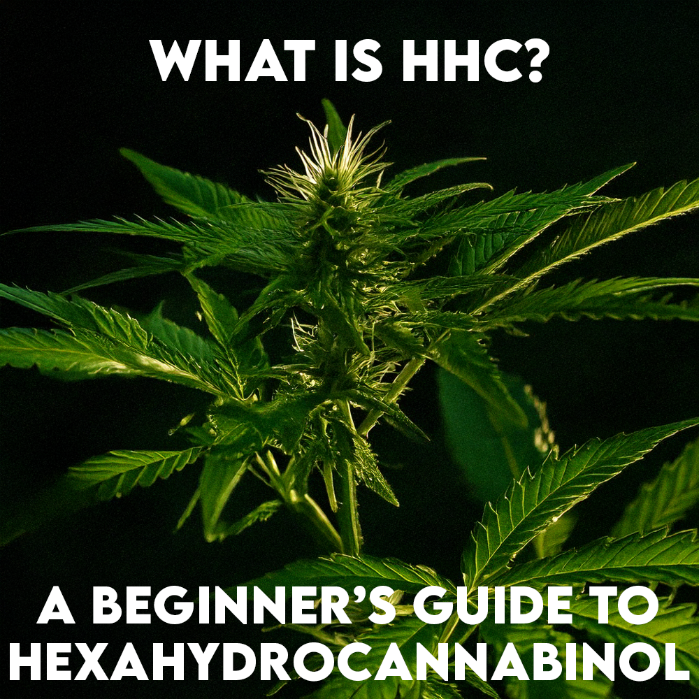 What Is HHC? A Beginner’s Guide to Hexahydrocannabinol