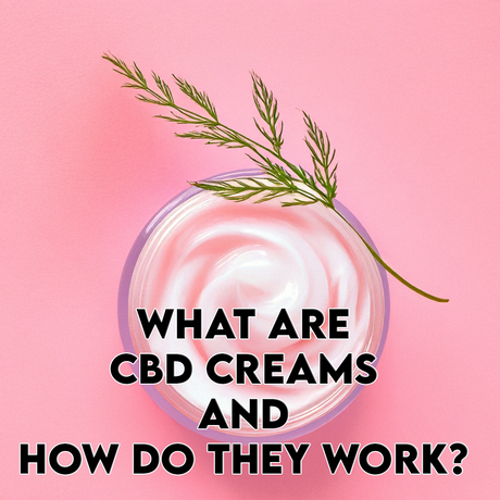 What Are CBD Creams and How Do They Work?