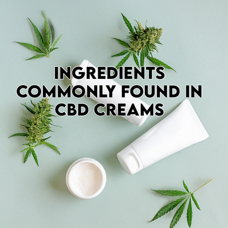 Ingredients Commonly Found in CBD Creams