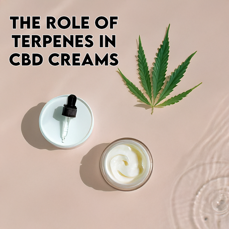 The Role of Terpenes in CBD Creams