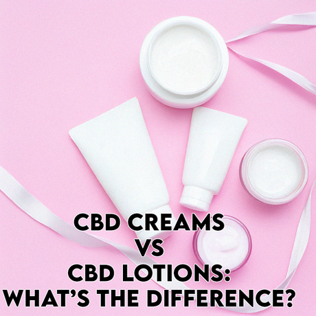 CBD Creams vs CBD Lotions: What’s the Difference?