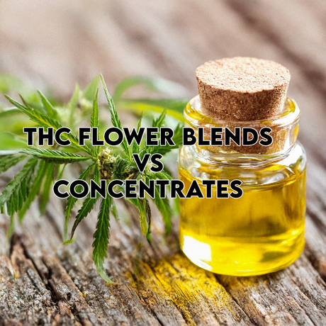 THC Flower Blends vs Concentrates