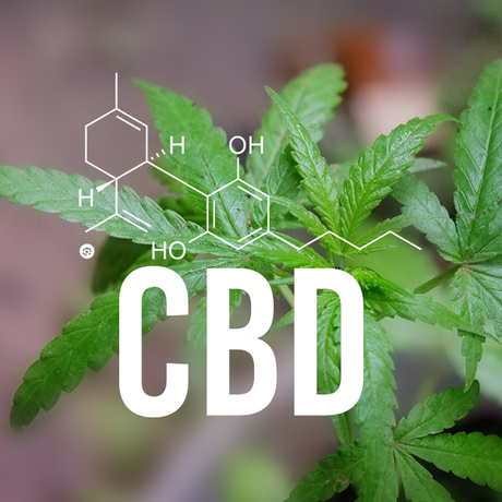 The Incredible Benefits of CBD: A Natural Solution for Your Health