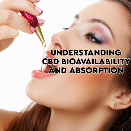 Understanding CBD Bioavailability and Absorption