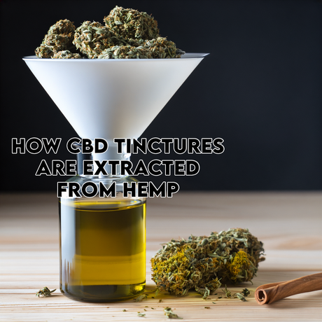 How CBD Tinctures Are Extracted From Hemp