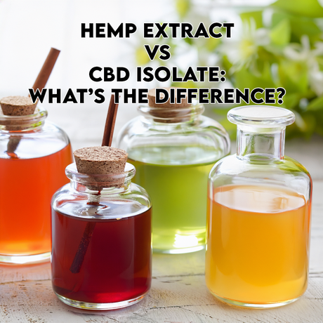 Hemp Extract vs CBD Isolate: What’s the Difference?