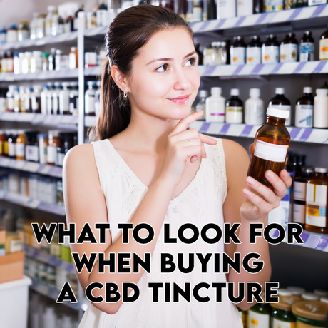 What to Look for When Buying a CBD Tincture
