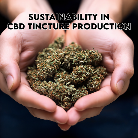 Sustainability in CBD Tincture Production