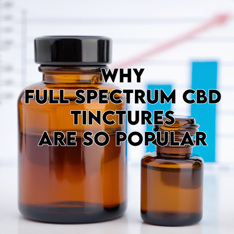 Why Full Spectrum CBD Tinctures Are So Popular